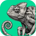 FigCraft icon