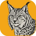 LightCraft icon