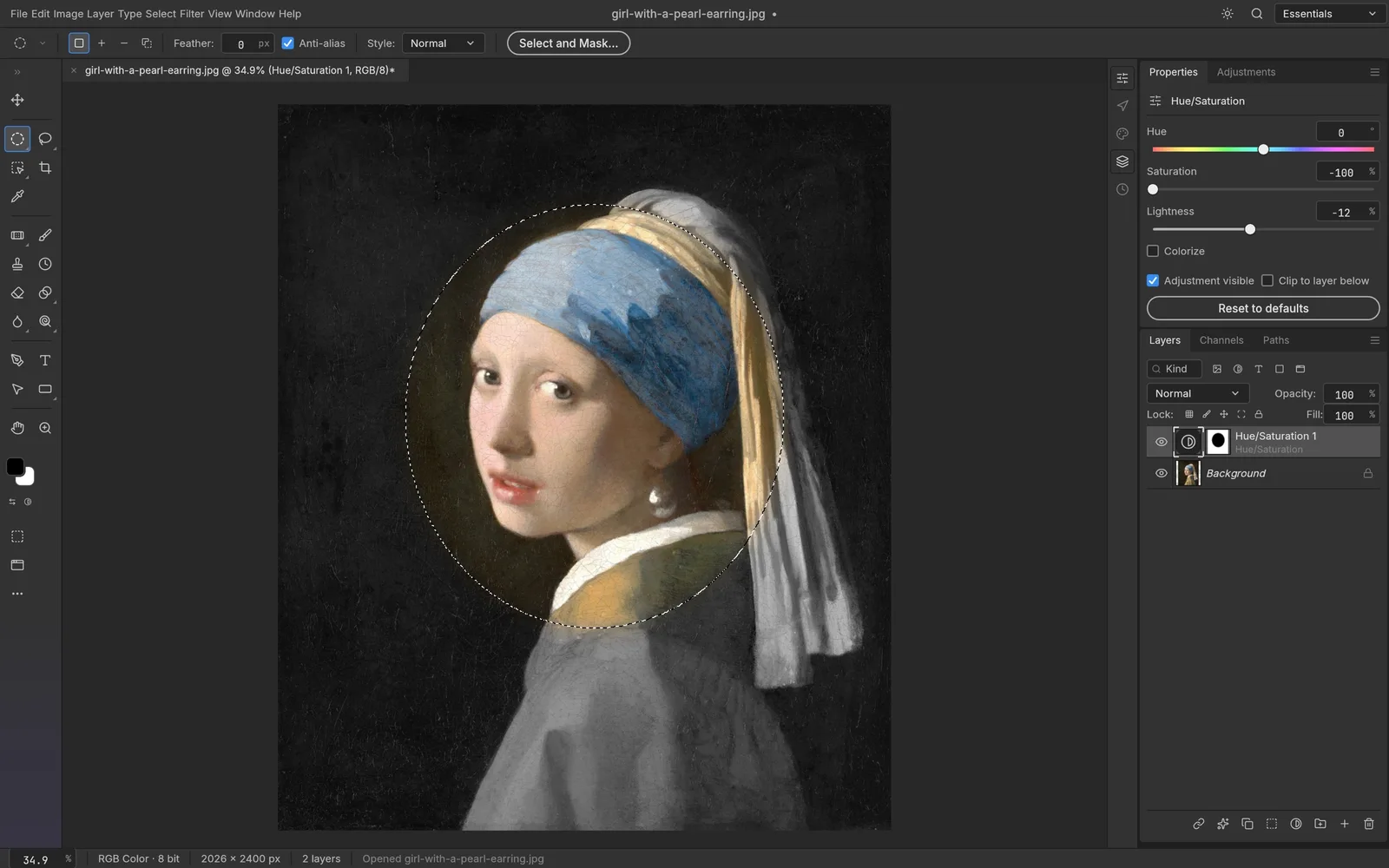 PhotoCraft interface with an elliptical mask and Hue/Saturation layer on Girl with a Pearl Earring
